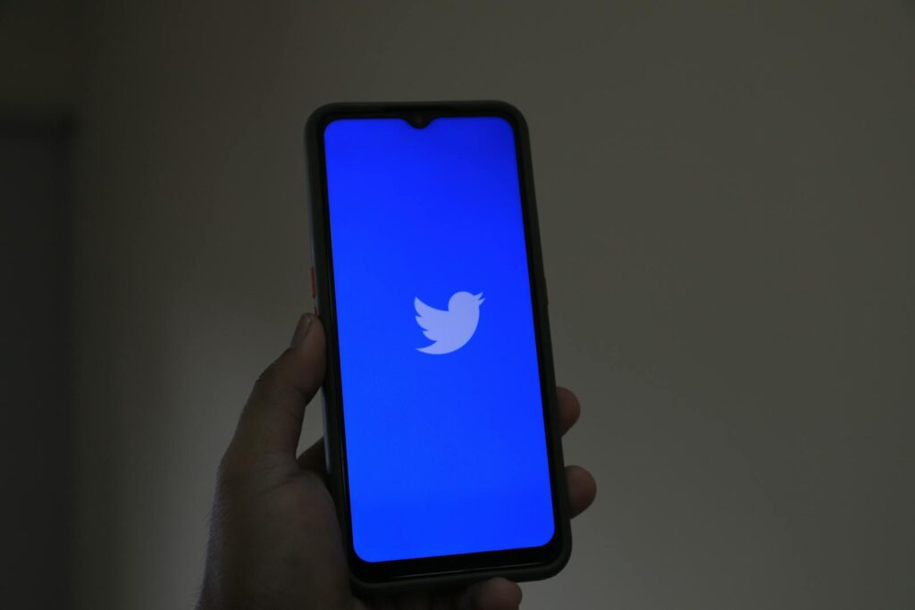 Person Holding a Phone Displaying Twitter App